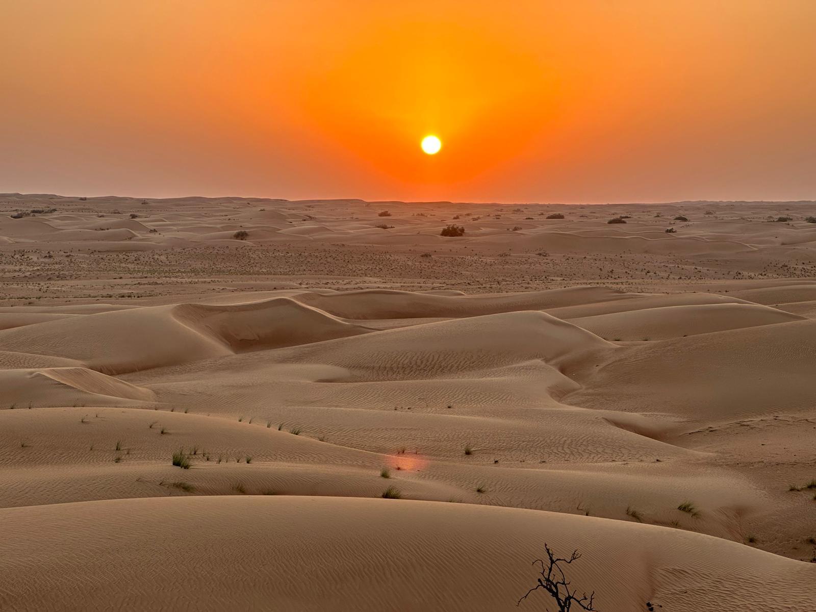 Abendlicht über den Dünen der Wahiba Sands