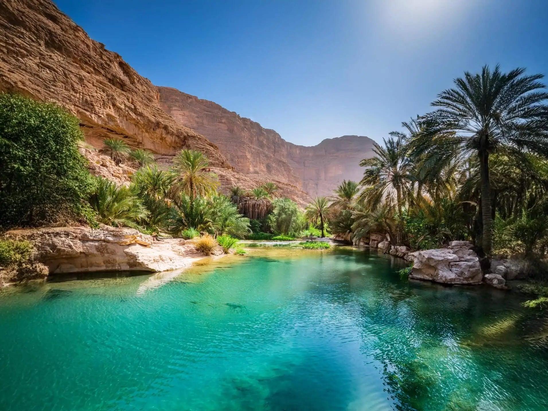 Wadis, Sur und Schildkrötenstrand