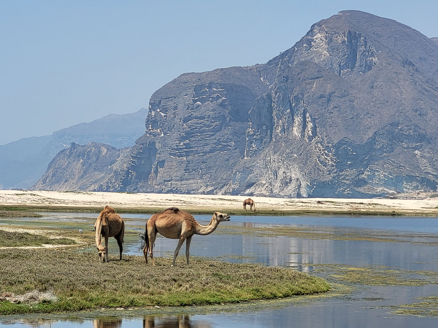 18 Tage | Große Oman Reise – Alles sehen, alles spüren